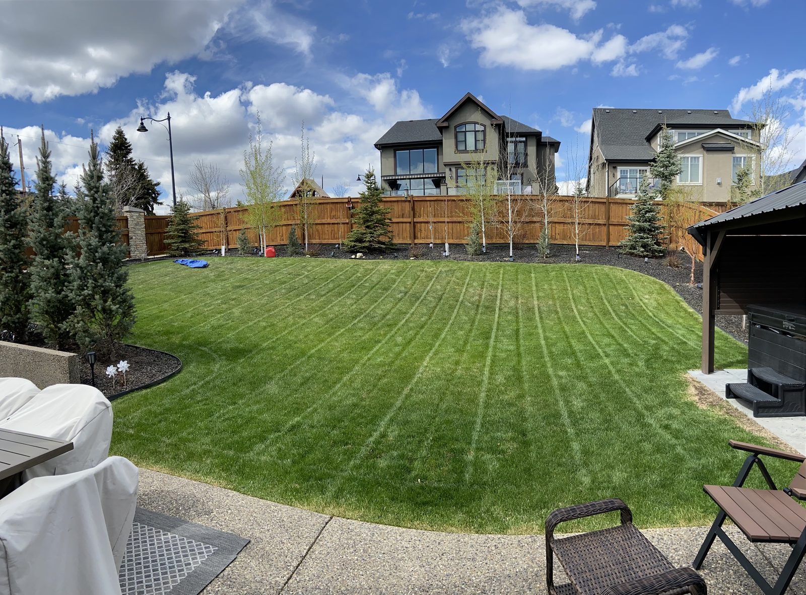 Large striped backyard lawn with fence line and garden beds